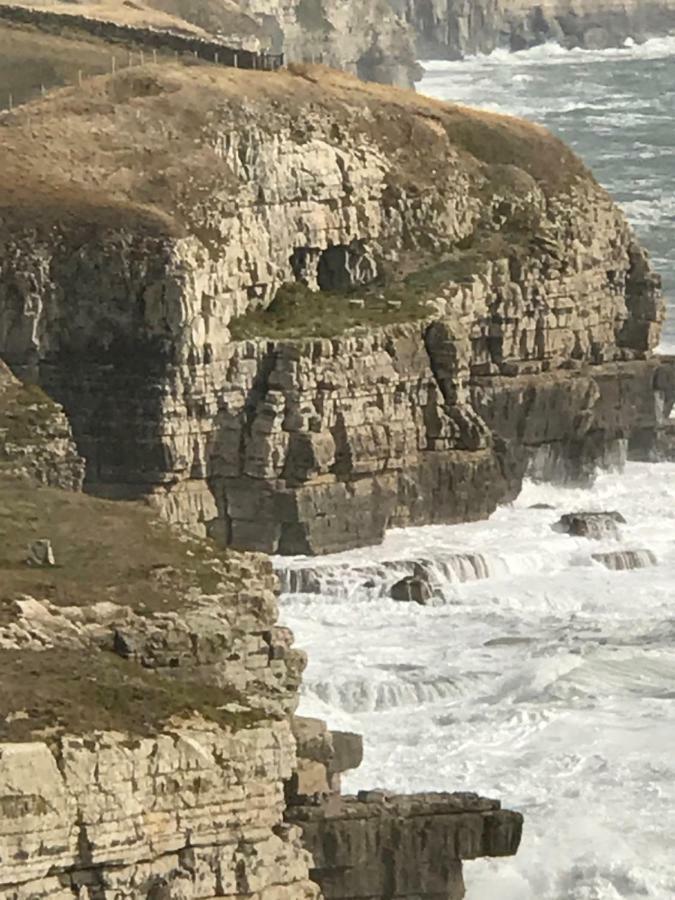 The Wing -Near To The Beaches And Bournemouth University Eksteriør bilde
